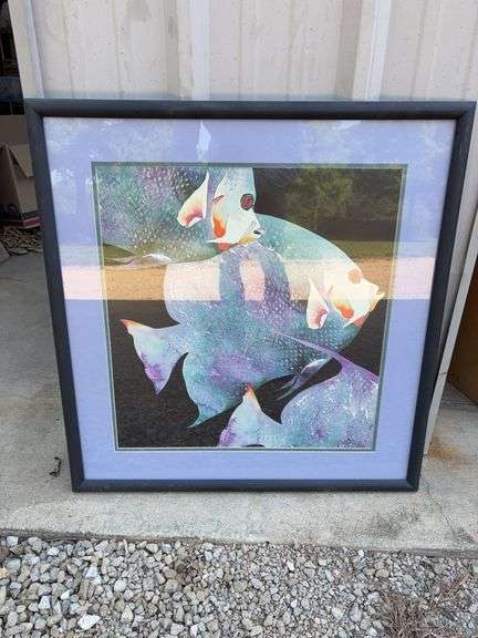 Framed Print of Fish image