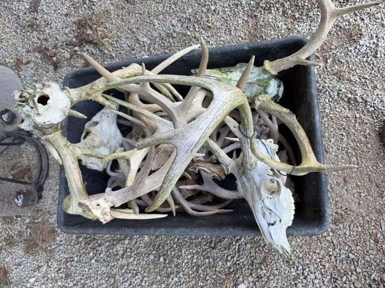 Antler Decor image