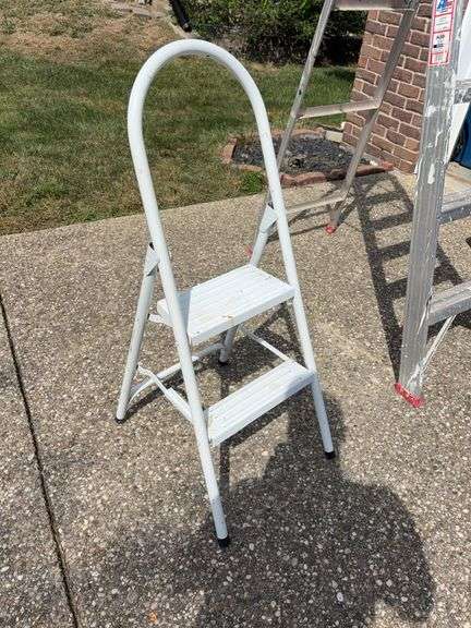 Metal Step Ladder image