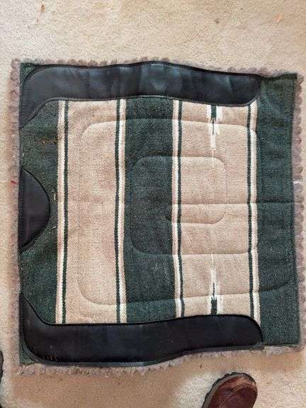 Saddle Blanket image