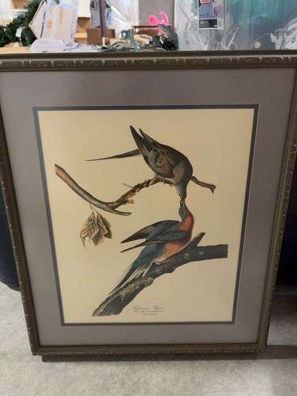 Framed Pigeon Print image
