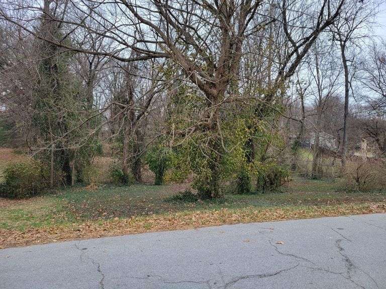 Desirable ABSOLUTE Real Estate image