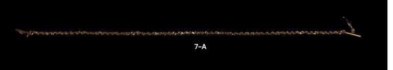 14K GOLD BRACELET - 2.4 GRAMS image