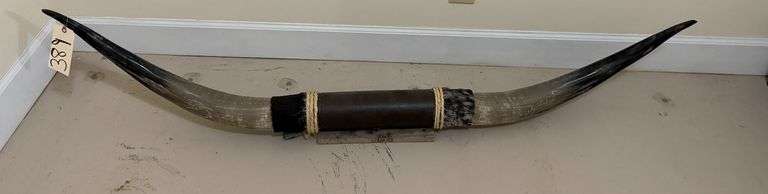 TEXAS LONGHORN MOUNT - APPROXIMATELY 60 INCHES image