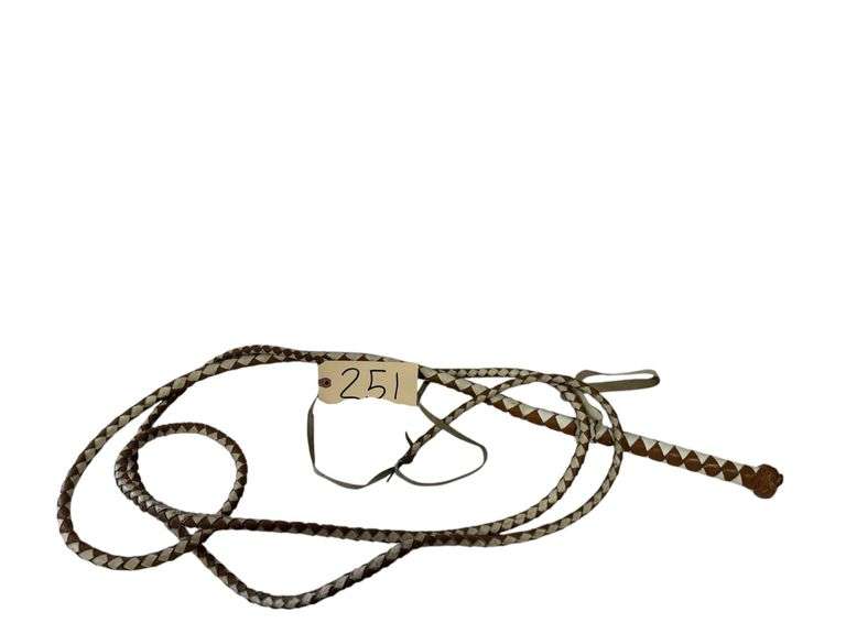 LEATHER BULLWHIP image