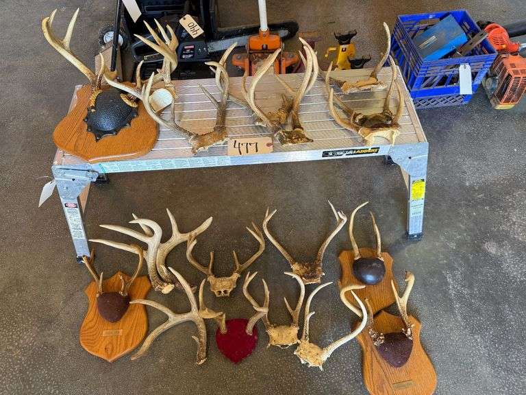 APPROXIMATELY 17 PAIRS OF DEER ANTLERS image