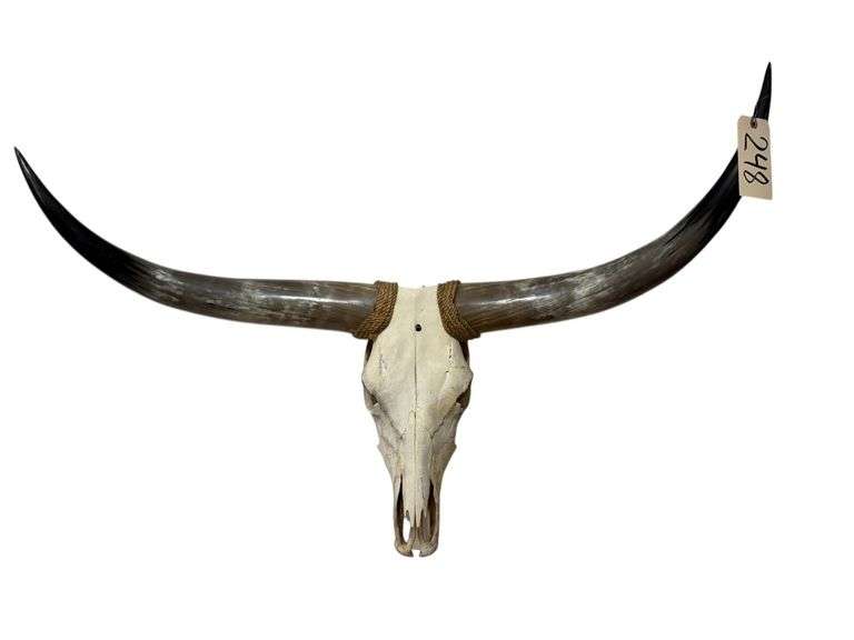 LONGHORN WALL SKULL AND HORNS WALL DECORATION image