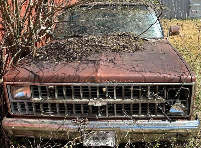 1982 CHEVROLET CUSTOM DELUXE C10 PICKUP TRUCK - ODOMETER READS 97,987 MILES - TENNESSEE TITLE.  VIN: 1GCDC14D4CF309757