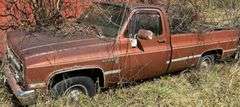 1982 CHEVROLET CUSTOM DELUXE C10 PICKUP TRUCK - ODOMETER READS 97,987 MILES - TENNESSEE TITLE.  VIN: 1GCDC14D4CF309757