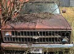 1982 CHEVROLET CUSTOM DELUXE C10 PICKUP TRUCK - ODOMETER READS 97,987 MILES - TENNESSEE TITLE.  VIN: 1GCDC14D4CF309757