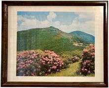 UNITED STATES SCENERY PHOTOGRAPHS: MABRY MILL BLUE RIDGE PARKWAY 1979, M. WOODBRIDGE WILLIAMS WITH WOODEN FRAME, CRAGGY GARDENS ON THE BLUE RIDGE PARKWAY 1979, EASTERN NATIONAL PARK AND MONUMENT ASSOCIATION WITH WOODEN FRAME, THREE SMOKY MOUNTAIN PRINTS, GRAND CANYON NATIONAL PARK PRINT