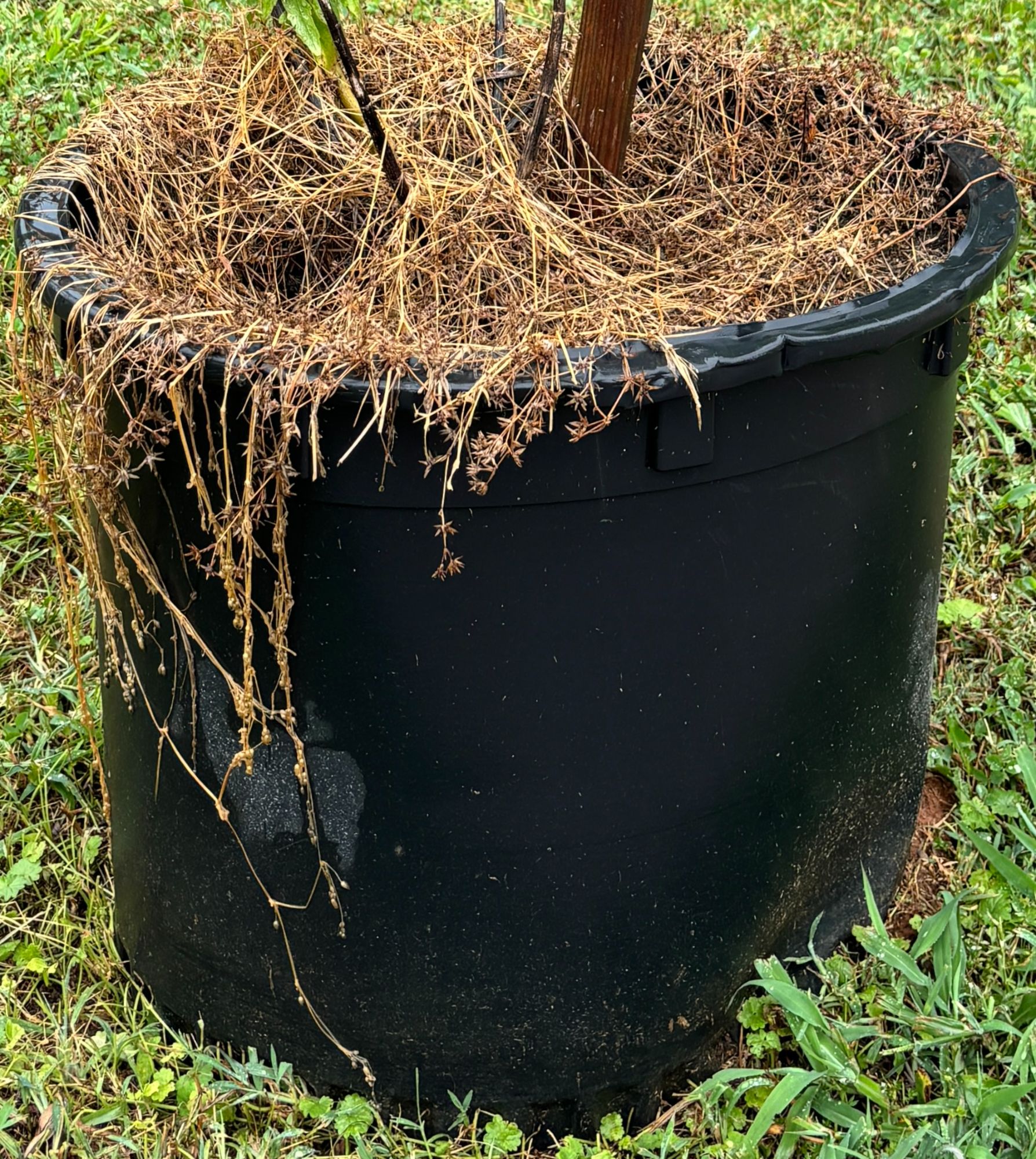 Lot image 4