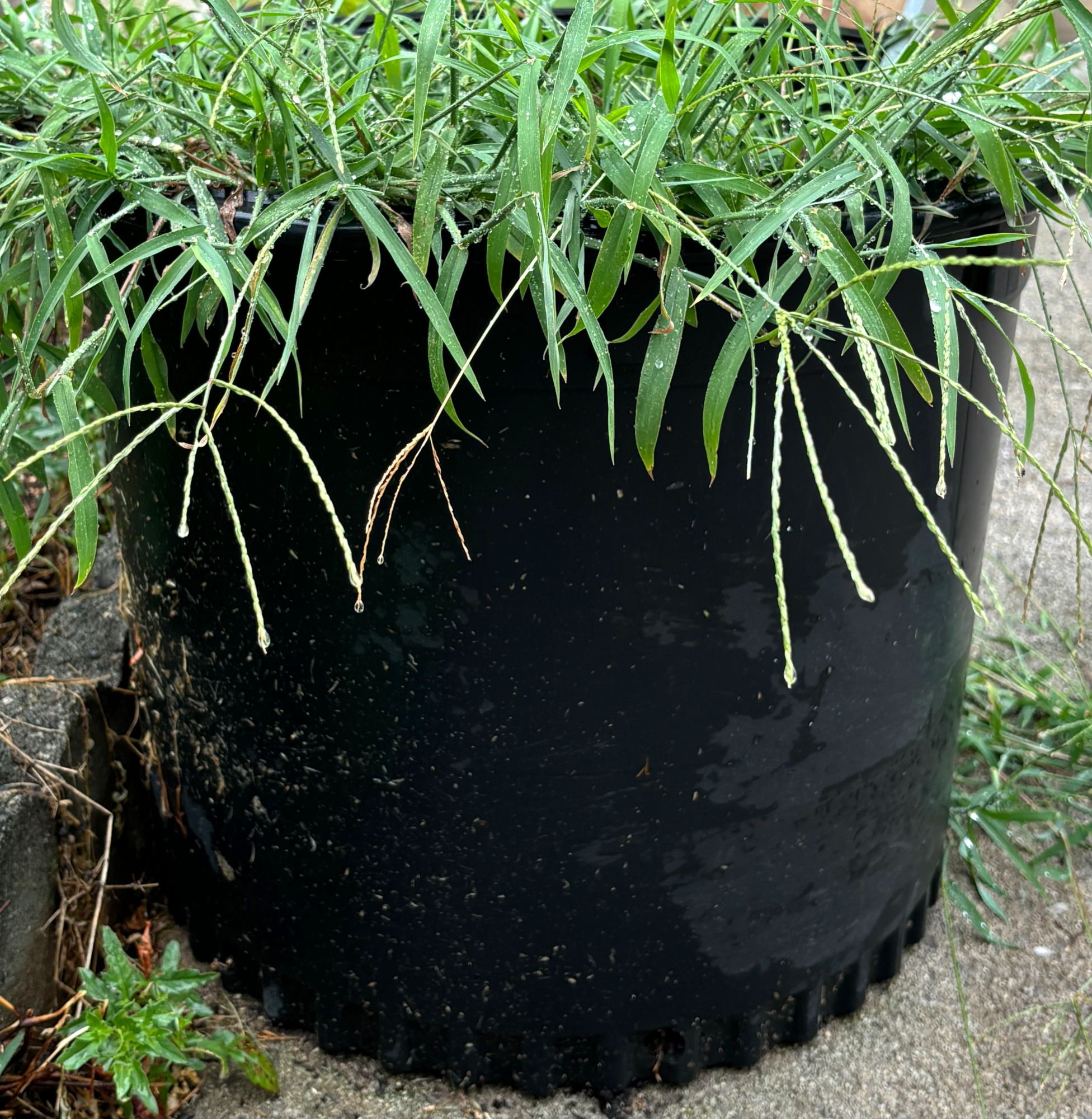 Lot image 3
