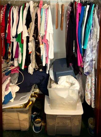 CLOSET LOT: ASSORTMENT OF LADIES’ CLOTHING (SOME NEW WITH TAGS) TO INCLUDE MARTINIQUE WOMAN, KORET, VIVALDI, KAREN KANE, KIM ROGERS; BLANKETS AND LINENS; STEP STOOL; ROSE TOPIARY; SUITCASE; WORTHY BRAND TRAVEL BAG; ETC. image