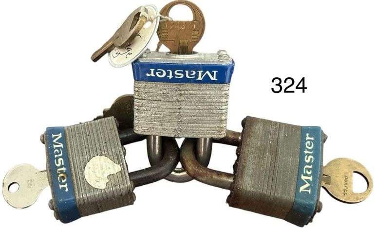3 MASTER LOCKS W/ KEYS image