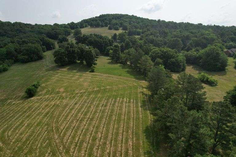 REAL ESTATE: Coop Rd, Bell Buckle, TN image