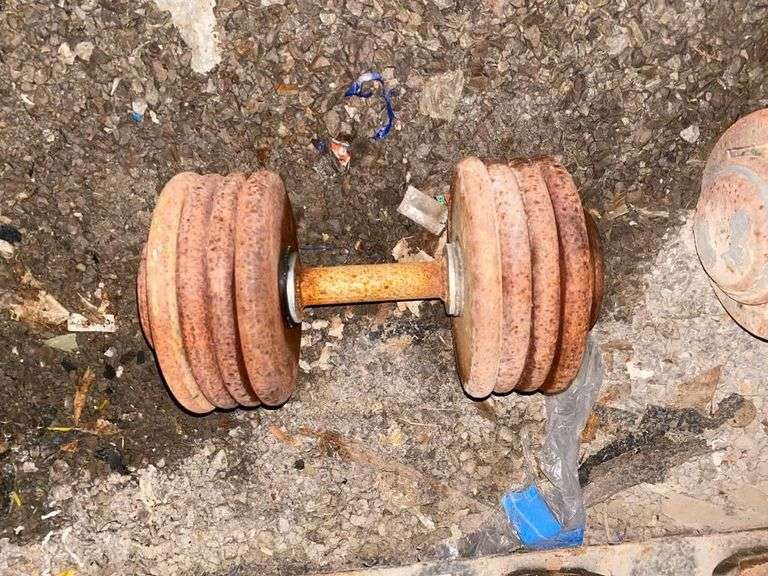 Adjustable Weight Dumbbell image