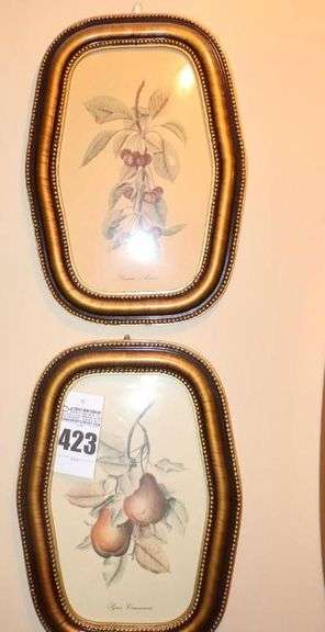 2 Unique Gold Tone Framed Wall Art Fruit Prints: Prunus Avium & Pyrus Communis 18"x13" each image