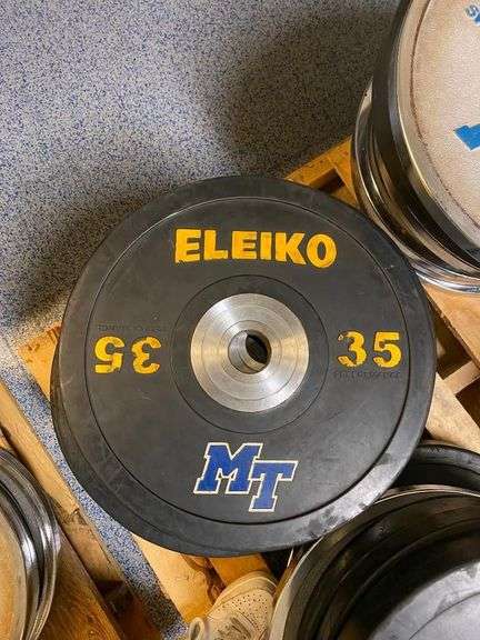 Pair of 35 lb. ELEIKO Weight Plates image