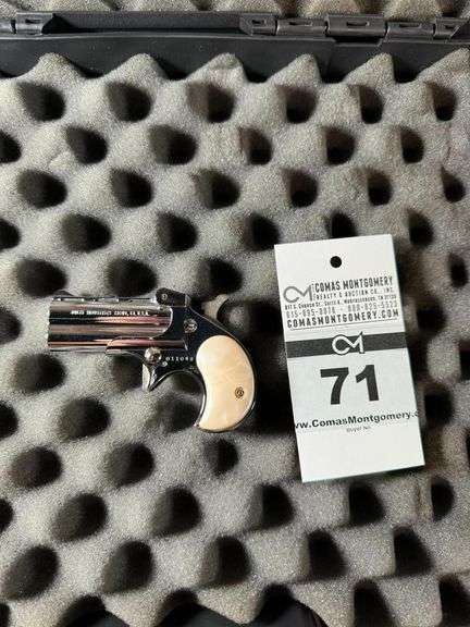 Davis Industries D-25 Derringer .25 Auto Handgun image