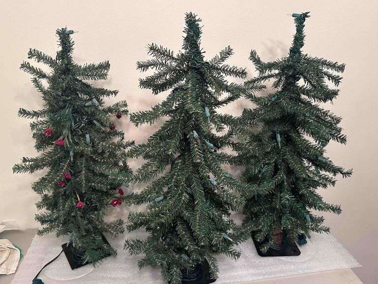 3 - Lighted Christmas Trees image