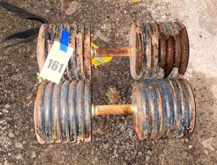 Pair of 145lb Dumbbells image