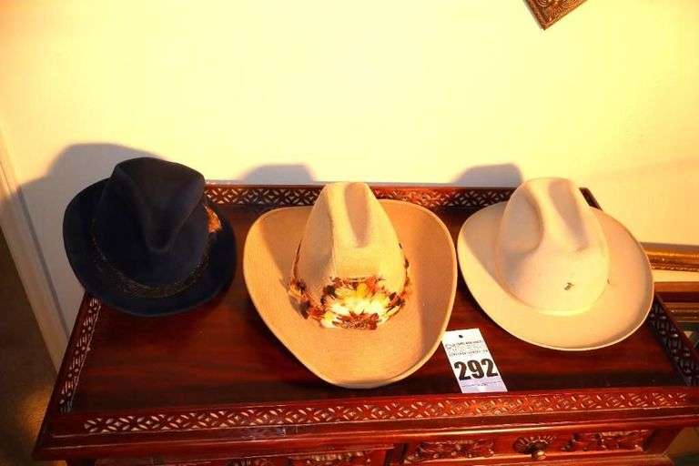 3 Men's Hats - one with feathers image