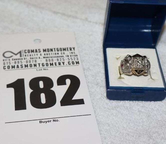 Men's Masonic 32nd Degree Diamond/Ruby stone Ring in Gold Setting - Size 8 image