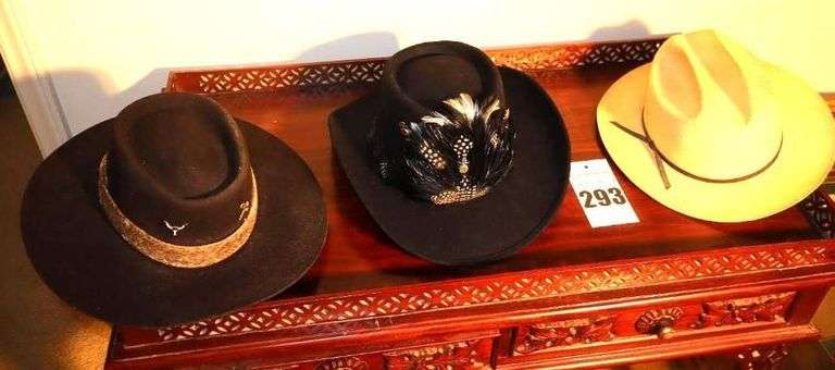 3 Men's Hats - one with feathers another with rattlesnake band image