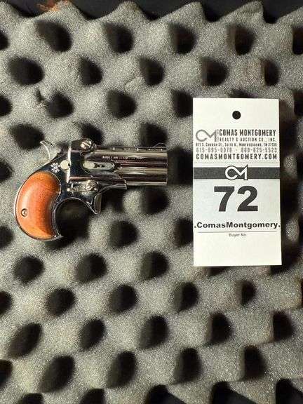 Davis Industries Derringer .22 Magnum image