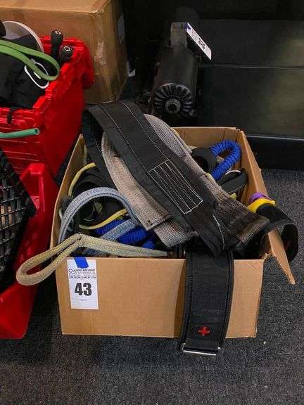 Weight Lifting Belts and Resistance Bands image