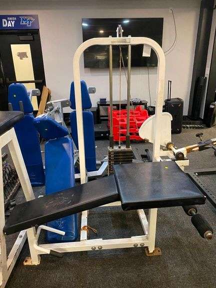 Professional Gym Leg/Hamstring Machine image