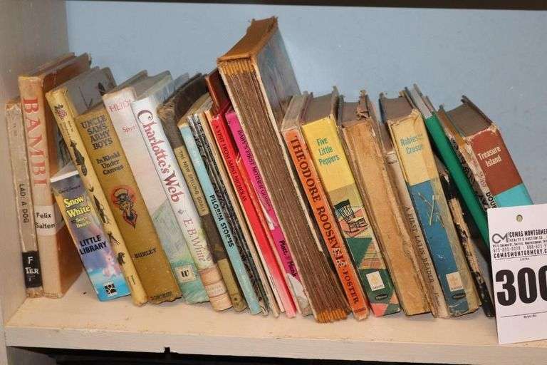 Variety of Vintage/Antique Kids Books: Picture and Chapter Books  **Buyer bring boxes to remove image