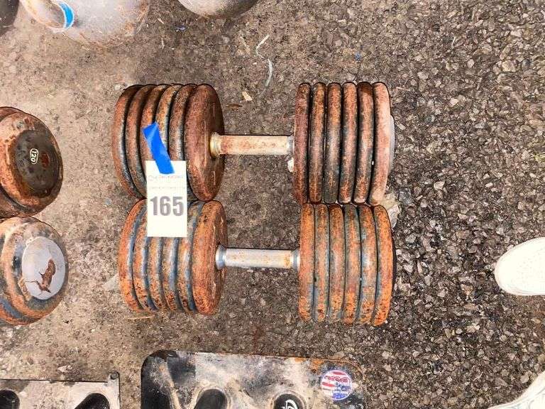 Pair of Adjustable Weight Dumbbells 125lbs image