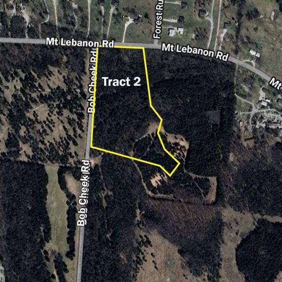 Tract 2 at 2555 Bob Cheek Rd. 11+/- Acres (Corner Lot)  - THIS TRACT IS SELLING BY THE ACRE image