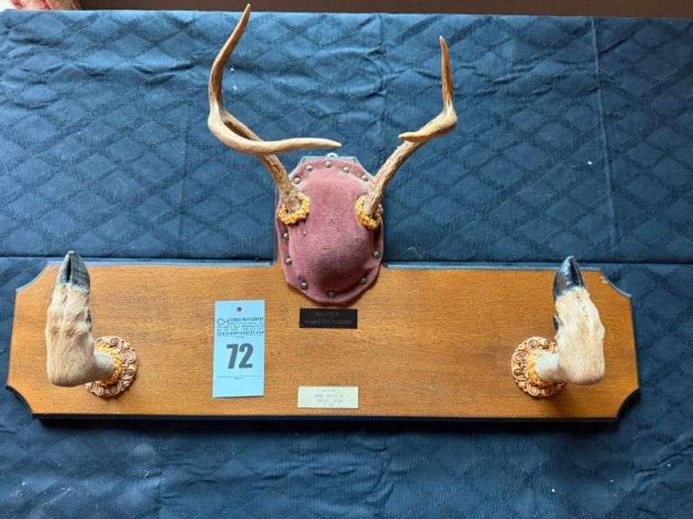 Taxidermy White Tailed Deer image