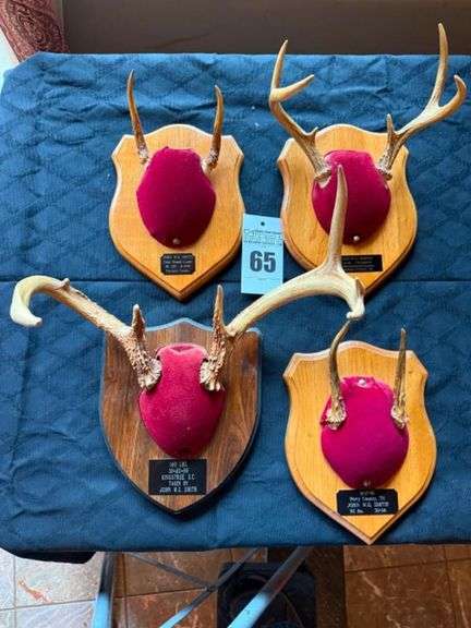 Taxidermy Deer Antler Mounts image