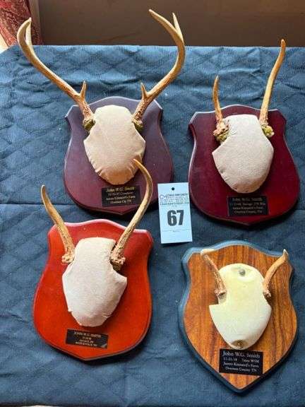Taxidermy Deer Antler Mounts image
