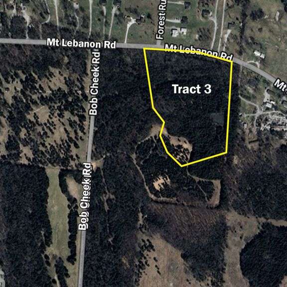 Tract 3 at 2524 Mt. Lebanon Rd. : 11.5+/- Acres  - THIS TRACT IS SELLING BY THE ACRE image