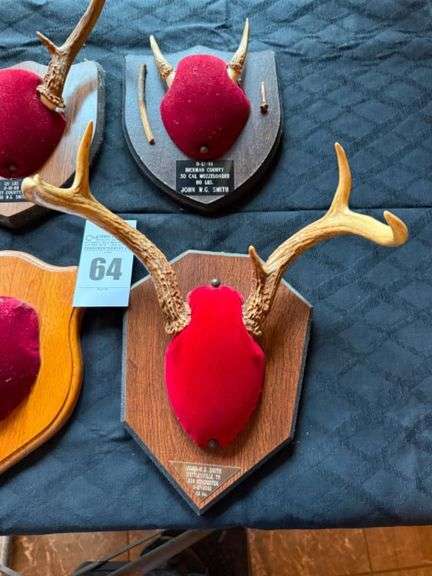 Taxidermy Deer Antler Mounts image