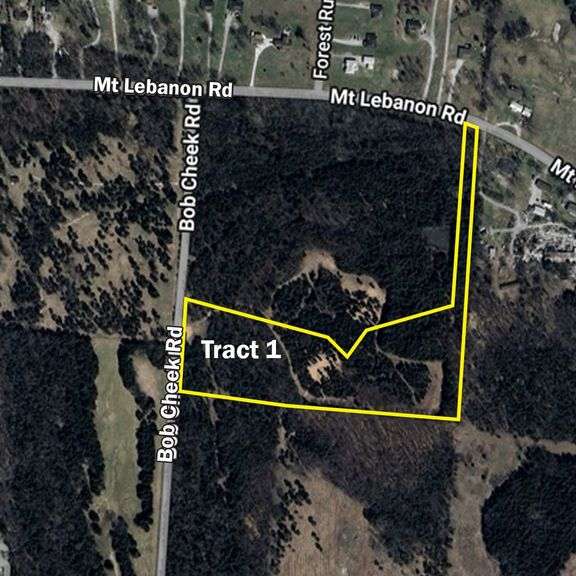 Tract 1: 10.5+/- Acres at 2545 Bob Cheek Rd. - THIS TRACT IS SELLING BY THE ACRE image