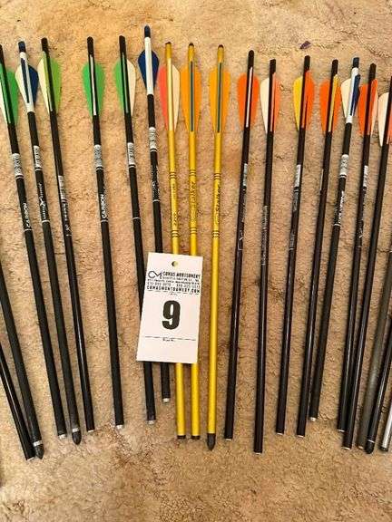 Crossbow Arrows image