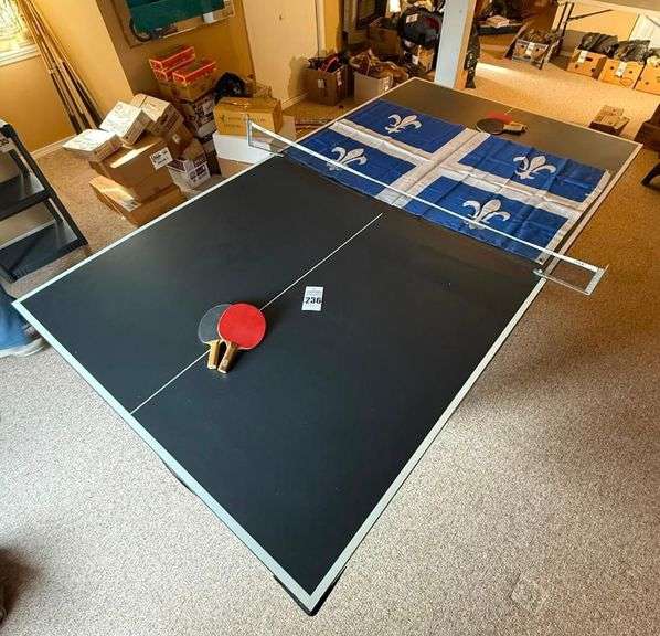 Ping Pong Table Top Set image