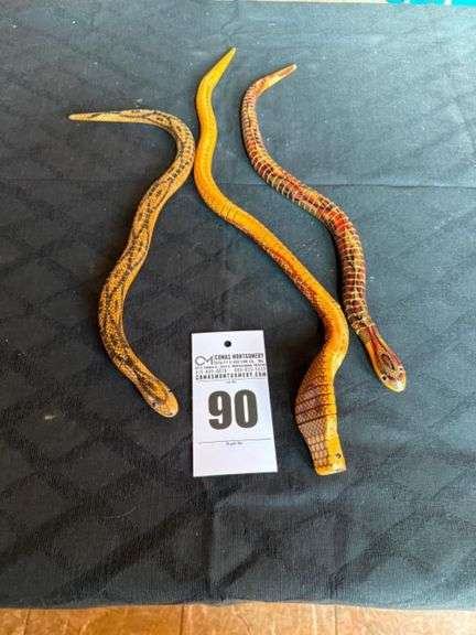 Wooden Snakes image