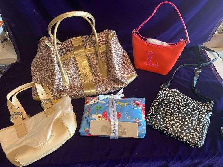 Assorted Purses and Carry-on image