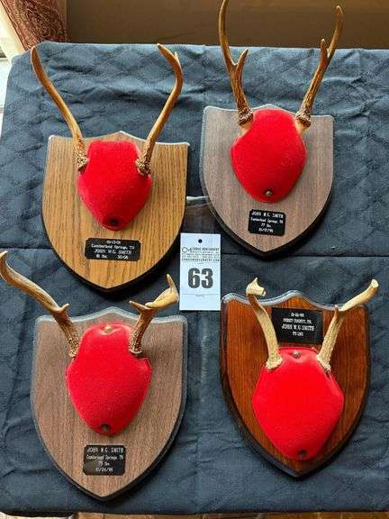 Taxidermy Deer Antler Mounts image