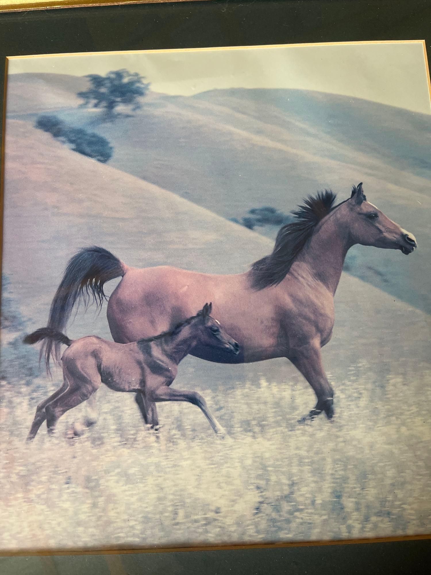 Lot image 3