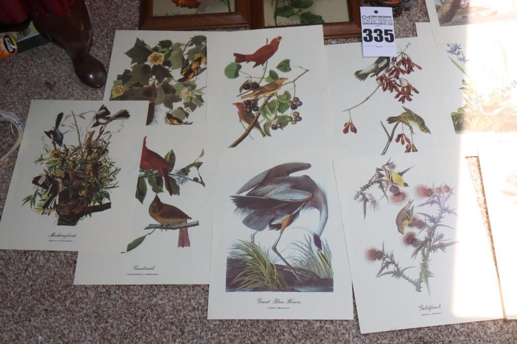Lot image 6