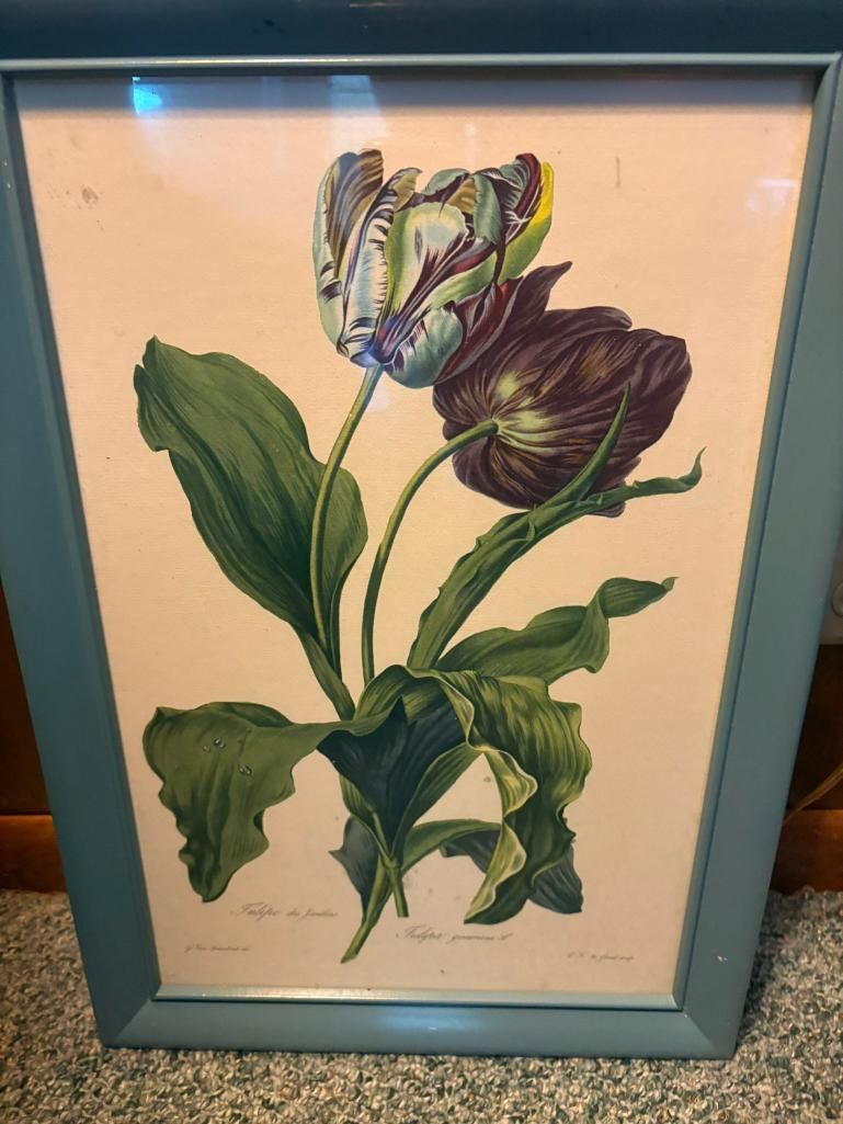 Lot image 4