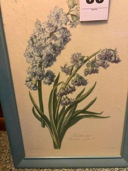 Set of Three Framed Floral Prints